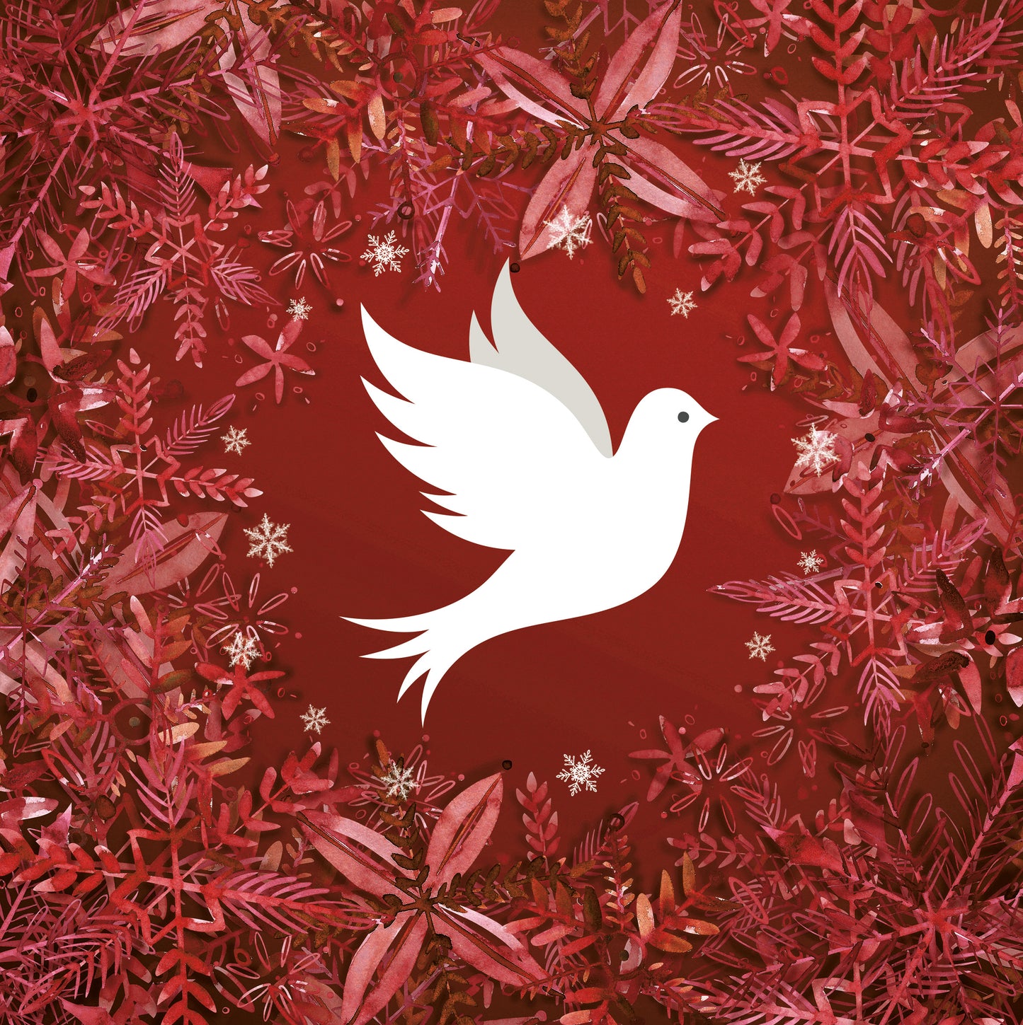 Winter Dove
