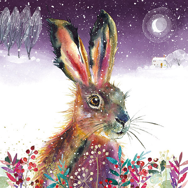 Fluffy Hare