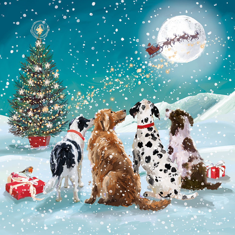 Dorothy House Christmas Card | Watching Santa