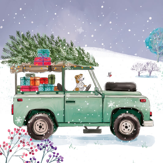 Christmas Delivery