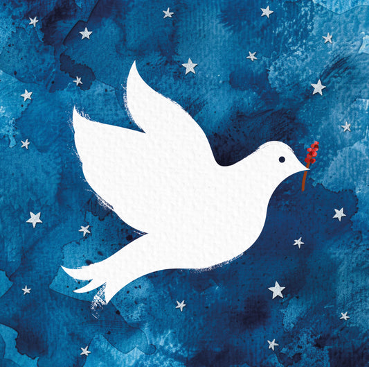 Dorothy House Christmas Card | Dove in the Sky