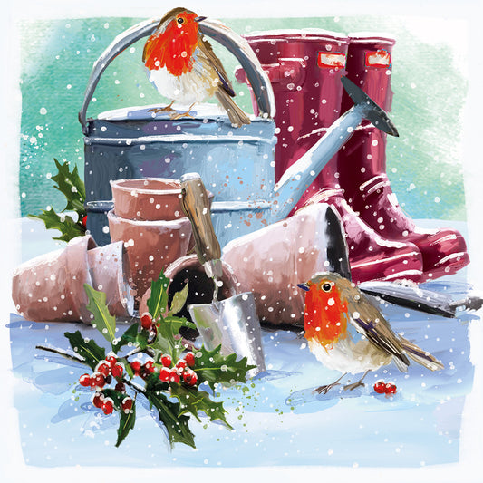 Dorothy House Christmas Card | Robins in the Garden