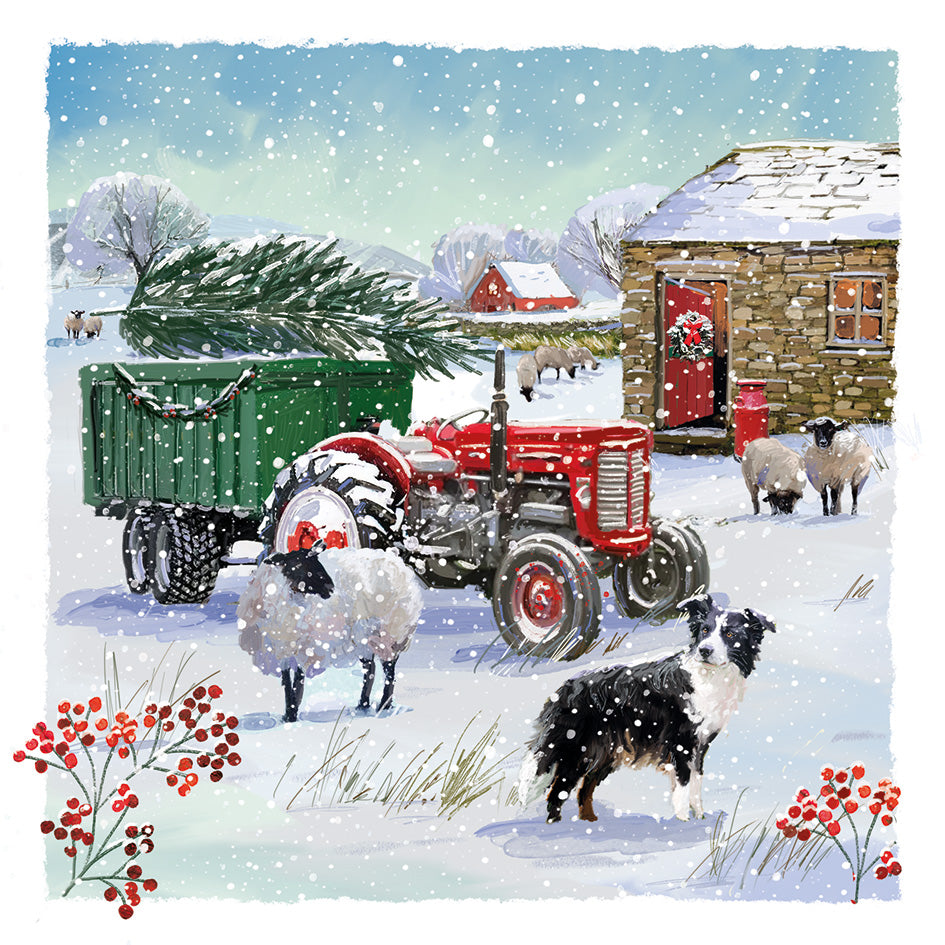 Dorothy House Christmas Card | Snow on the Farm