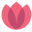 dorothyhouse.shop logo